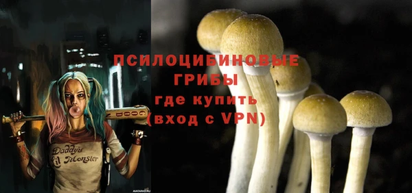 не бодяженный Надым