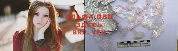 прущие грибы Наволоки