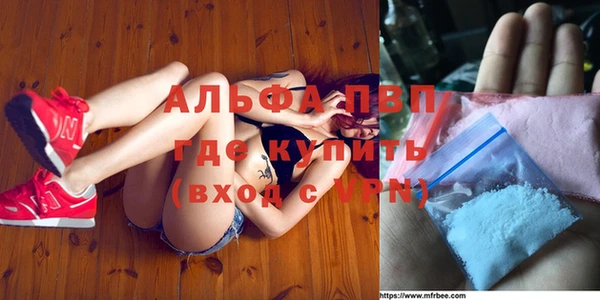 прущие грибы Наволоки