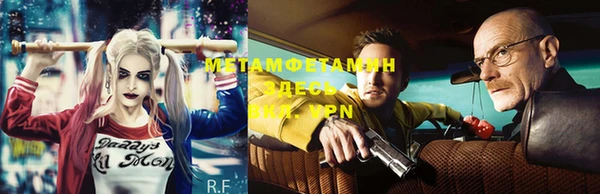 прущие грибы Наволоки